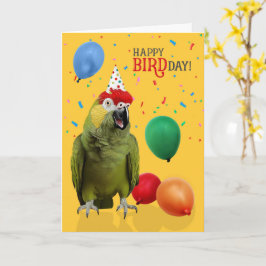 面白い赤頭アマゾンオウムの誕生日ユーモア カード