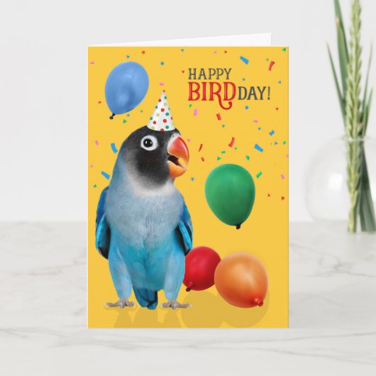 面白い青いインコの誕生日 カード (正面)