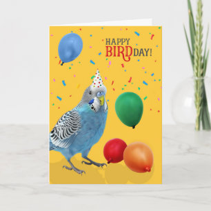 面白い青と白のセキセイインコの誕生日 カード