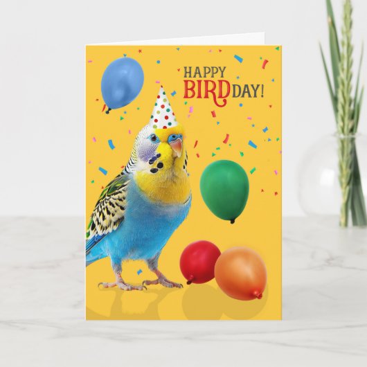 面白い青と黄色のセキセイインコの誕生日 カード (正面)