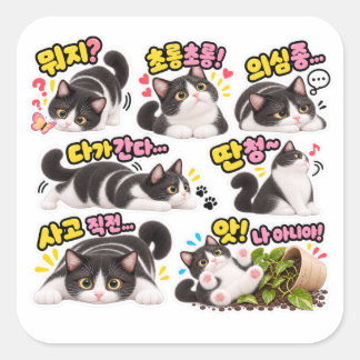 面白い韓国風タキシード猫ステッカーセット – かわいい猫 スクエアシール