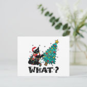 面白い黒猫のサンタがクリスマスツリーを押す シーズンポストカード (スタンド正面)