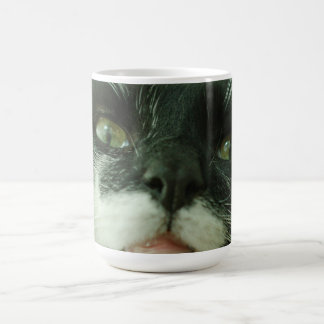 面白い 猫 キティ ペット 写真 コーヒーマグカップ