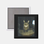 面白い 真面目 ゲーマー 猫好き スタッド 子猫 ねこ メーム マグネット (正面/裏面)
