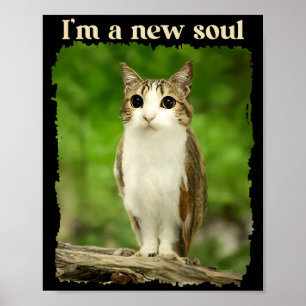 面白いMeowlミーム、猫フクロウミームBrainrotジェネレーションアルファ ポスター
