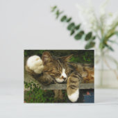 面白くなることを夢見ている ポストカード (スタンド正面)