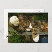 面白くなることを夢見ている ポストカード (正面/裏面)