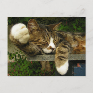 面白くなることを夢見ている ポストカード