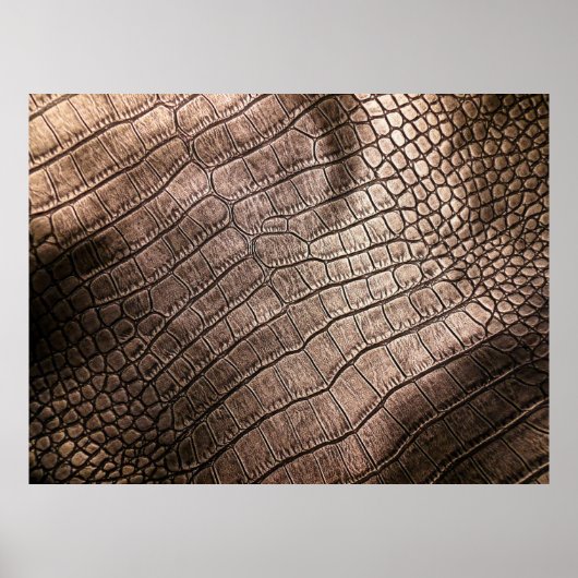 革のエレガント柄が近い。 ポスター (正面)