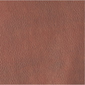 革のカスタムカットのビニールシール シール (正面)