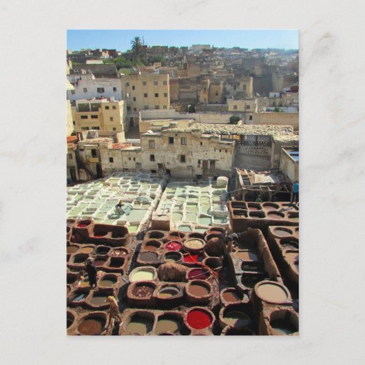 革のタネリーフェス ポストカード (正面)