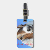 革バンドが付いている古いヤギの荷物のラベル ラゲッジタグ (正面縦)