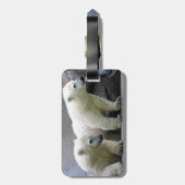 革バンドが付いている白くまの荷物のラベル ラゲッジタグ (裏面縦)