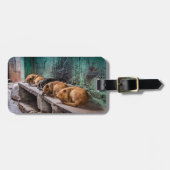 革バンドが付いている荷物のラベルをカールしている犬 ラゲッジタグ (正面横)