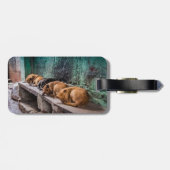 革バンドが付いている荷物のラベルをカールしている犬 ラゲッジタグ (裏面横)