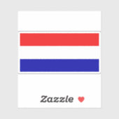 革命フランスの主義国旗（1793年1月21日） シール (シート)