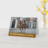 革命戦争虎猫 カード (黄色い花)