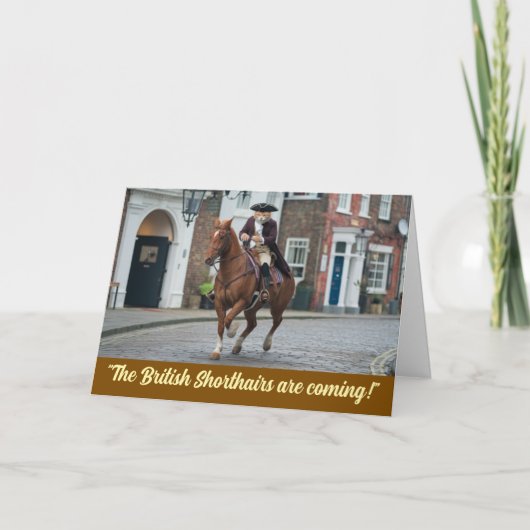 革命戦争虎猫 カード (正面)