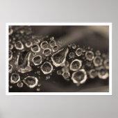 靴が落ちる ポスター (正面)