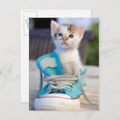 靴の子猫 ポストカード (正面/裏面)