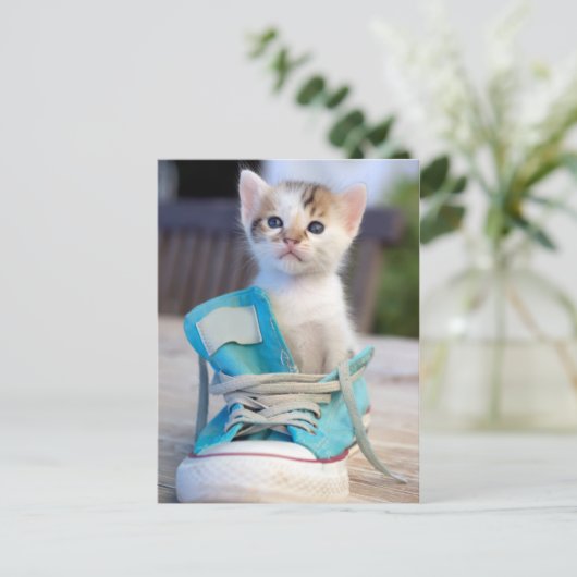 靴の子猫 ポストカード (スタンド正面)