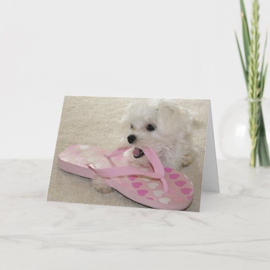 靴の愛 カード (正面)