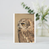 靴を持っている ポストカード (スタンド正面)