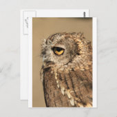 靴を持っている ポストカード (正面/裏面)