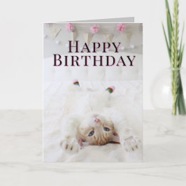 靴下のかわいい猫誕生日グリーティングカード カード