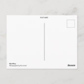 靴下を履いたかわいいダックスフンド ポストカード (裏面)