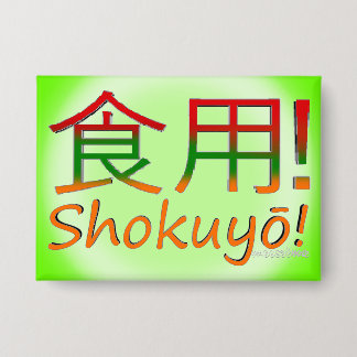 靴遊び！ 缶バッジ