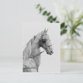 鞍付きハーネ素晴らしス ポストカード (スタンド正面)