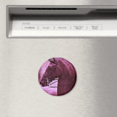 鞍付き有色人種 マグネット (インサイチュ (食洗機))