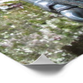 鞍馬山イン観音像 ポスター (角)