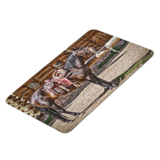 鞍馬 マグネット (左側)