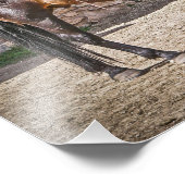 鞍馬 – 馬 – 牧場 フォトプリント            (角)