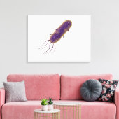 鞭毛細菌の概念像2 キャンバスプリント (インサイチュ (リビング))