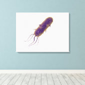 鞭毛細菌の概念像2 キャンバスプリント (インサイチュ (ウッドフロア))