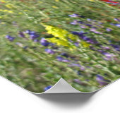 鞭毛野花 ポスター (角)