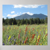 鞭毛野花 ポスター (正面)