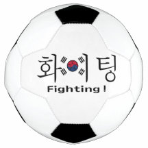 韓国のハングルと旗を支持するファイター