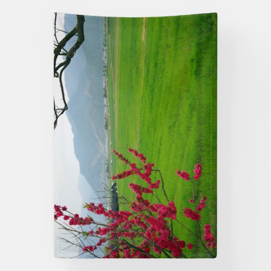 韓国の写真でデザイン、印刷 横断幕 (縦)