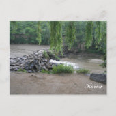 韓国の小川 ポストカード (正面)