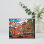 韓国の秋 ポストカード (スタンド正面)