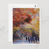 韓国はがき ポストカード (正面/裏面)