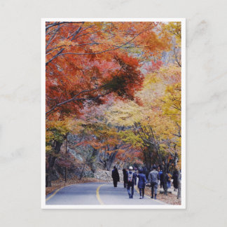 韓国はがき ポストカード