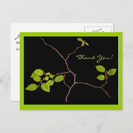 韓国ホーンビーム感謝してい盆栽あなた ポストカード (正面/裏面)