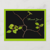 韓国ホーンビーム感謝してい盆栽あなた ポストカード (正面)