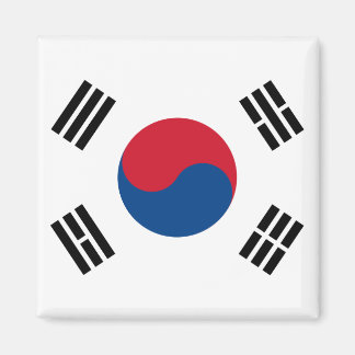 韓国国旗のマグネット マグネット