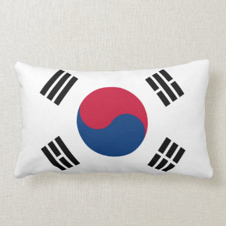 韓国国旗の枕 ランバークッション